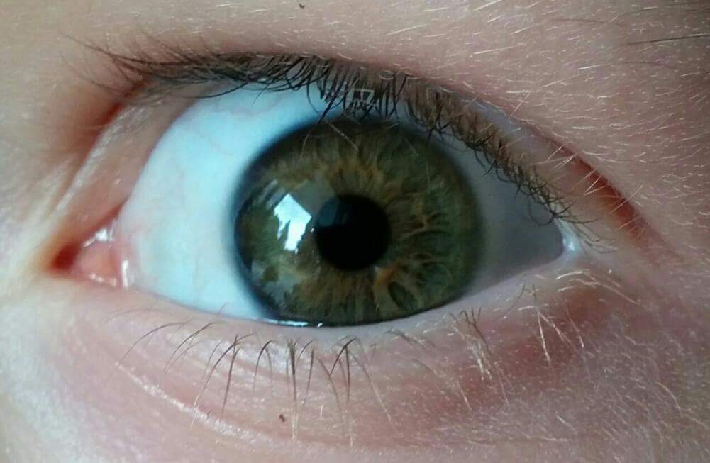 Почему глаза стали голубые. Центральная гетерохромия хамелеон. Зеленый цвет глаз. Серо зеленые глаза радужка. Серо-карие глаза у ребенка.