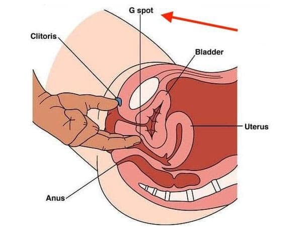 how to find her g-spot to make her squirt