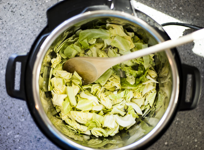 cabbage in a pot