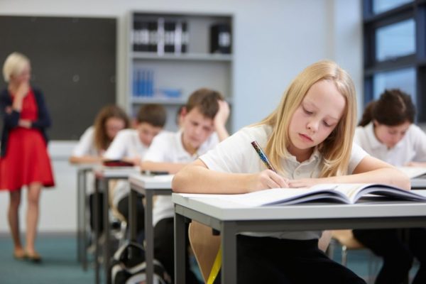 Будет ли образование в российских школах платным?